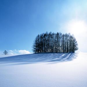 羞辱调教视频网站
